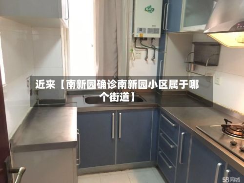 近来【南新园确诊南新园小区属于哪个街道】-第2张图片