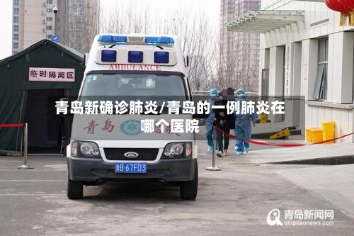 青岛新确诊肺炎/青岛的一例肺炎在哪个医院