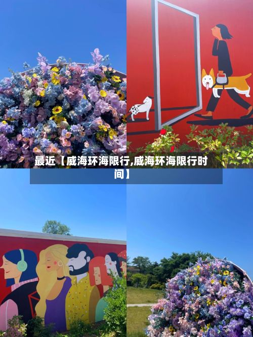 最近【威海环海限行,威海环海限行时间】-第2张图片
