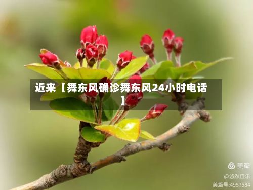 近来【舞东风确诊舞东风24小时电话】-第2张图片