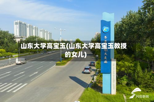 山东大学高宝玉(山东大学高宝玉教授的女儿)-第2张图片