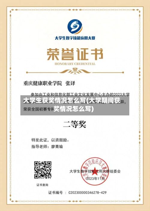 大学生获奖情况怎么写(大学期间获奖情况怎么写)-第2张图片