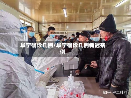 阜宁确诊几例/阜宁确诊几例新冠病例-第2张图片