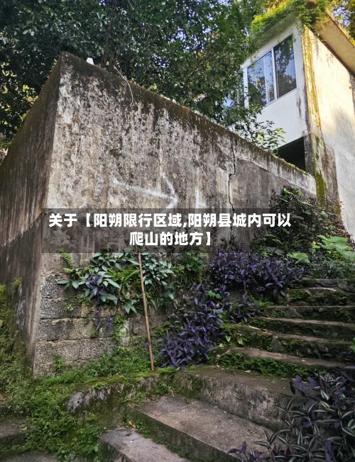 关于【阳朔限行区域,阳朔县城内可以爬山的地方】-第2张图片