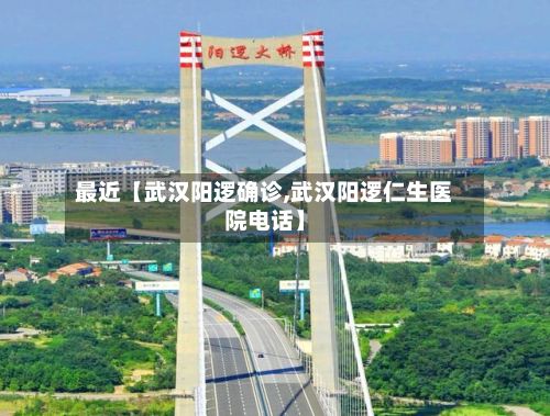 最近【武汉阳逻确诊,武汉阳逻仁生医院电话】-第2张图片