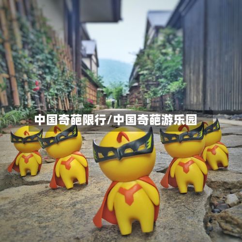 中国奇葩限行/中国奇葩游乐园-第2张图片