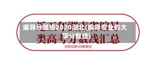 编导分数线2020湖北(编导专业的大学分数线)-第2张图片