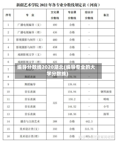 编导分数线2020湖北(编导专业的大学分数线)